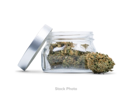 (28.0g) Gravity Cookies | 28g | Paul Bunyan