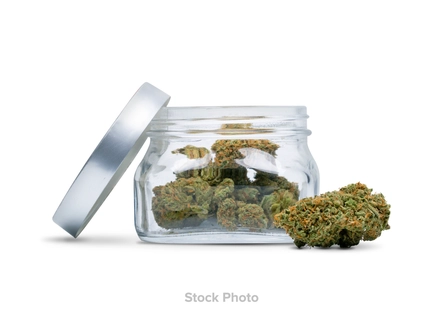 (3.5g) Blaze - Flower - Dante's Inferno