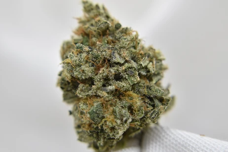 (g) Heirloom Orange - Flower - Sativa