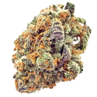 (g) Mimosa Deli Bud