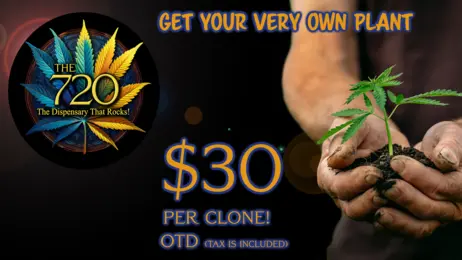 Clones for The 720