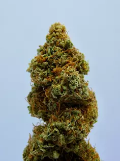 Platinum 8th $30 (all strains)