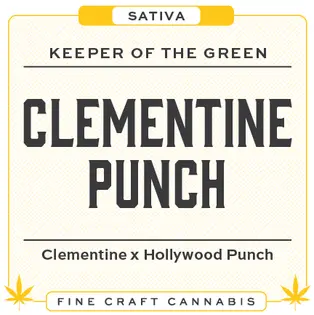 (g) Clementine Punch Flower