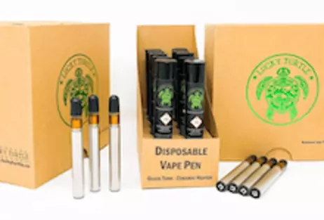 $20 Lucky Turtle Disposable Vape