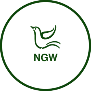 (each) Nature's Grace Sugar 1g - Gas Nana
