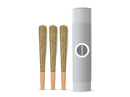 (each) Mandarin Z 3 Pack Pre-Rolls | 1.5g