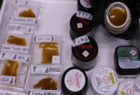 1 Gram of Wax or Shatter for $15