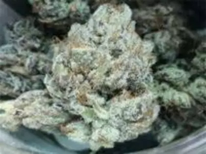 $25 OTD 8th's on 6 diffrent strains 