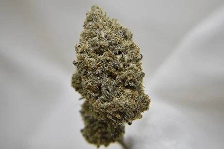 (g) Swiss Cheese - Flower - Hybrid