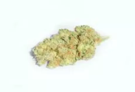 Select Strain Full Bud Oz - $115 OTD