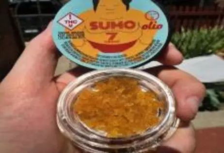 Olio 7g Live Resin SUMO Jar