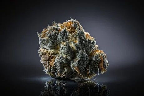 $40 Half Ounce (14 Grams) Top Shelf Flower High THC%