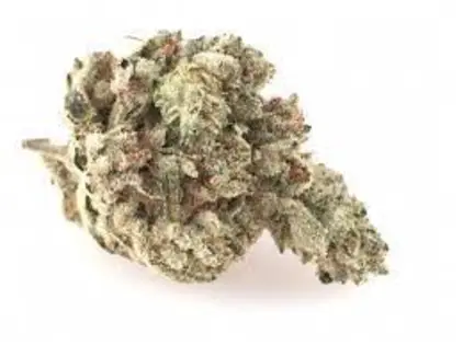 $500lbs MED EPC PATIENTS ONLY