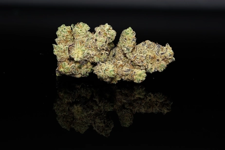 $79/Oz Top Shelf Hand Trimmed Floraco Flower, 2 Oz for $150