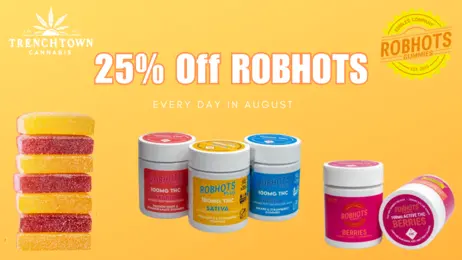 25% off Robhots