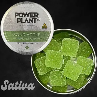 (each) Sour Apple Gummies 20pck