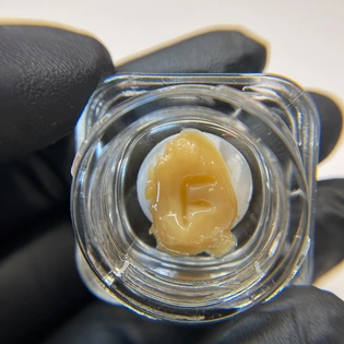(g) Frosteez Grapes & Cream Live Rosin 0.5g