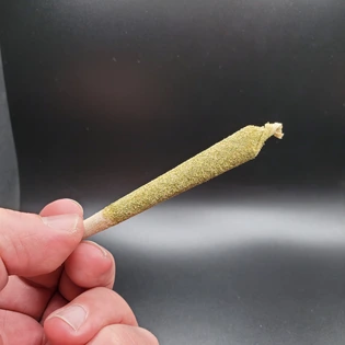 (each) Northern Funk 1/2g Rocket