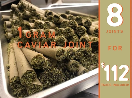 $84 (Pre-Tax) for 8 Kayak Caviar Pre-Rolled Joints