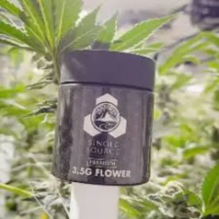 30% off Single Source Flower!