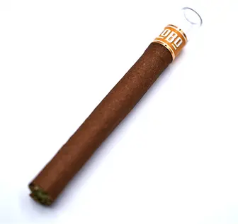 (2.0g) GARY PAYTON PRESIDENTE BLUNT