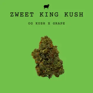 (5.66g) Black Sheep | Zweet King Kush Mini Buds 5.66g | Indica