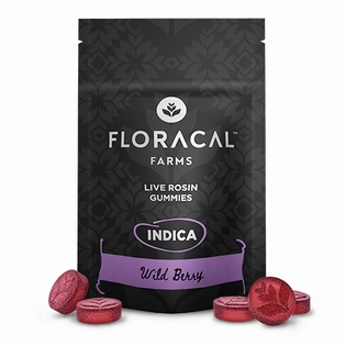 (0.1g) Wild Berry | 100mg | Gummy | FloraCal