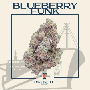 (14.15g) Blueberry Funk