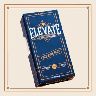 (each) ELEVATE - PINS - PREROLL - 0.5G - 10PK - SMASHFRUIT - SATIVA