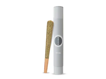 (1.0g) Citrus MAC Pre-Roll Single