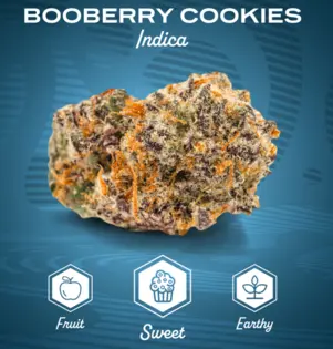 (7.0g) Flower | Mission | Booberry Cookies