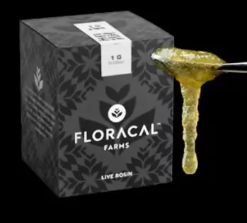 (1.0g) Jam | Floracal | Gastropop [Live Rosin]