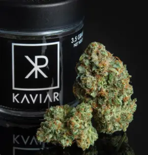 (7.0g) Popcorn Flower | Kaviar | Black Velvet