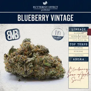 (2.83g) Blueberry Vintage | Butterfly Effect | Flower | 2.83g