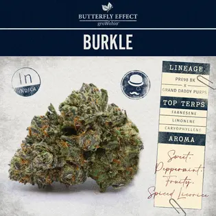 (2.83g) Burkle | Butterfly Effect Flower | 2.83g