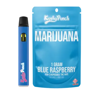 (1.0g) 1g Disposable Vape | Blue Raspberry (Hybrid)