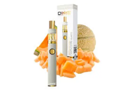 (g) DIME Vape .9g - Cantaloupe Dream