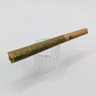 (1.0g) Meathead x Golden Goat Infused Pre-Roll