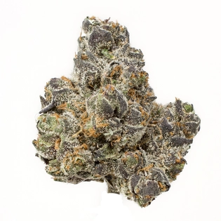 (g) Apple Fritter - Soultonix