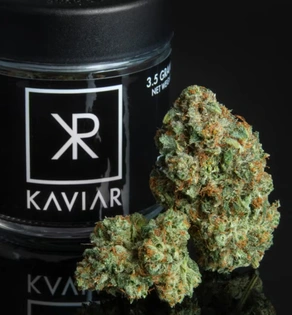 (3.5g) KAVIAR | GUSHERS | FLOWER | 3.5G (HYBRID)