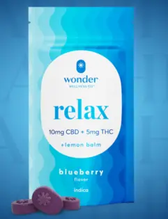 (0.1g) Wonder Wellness | Relax Blueberry [2:1 CBD/THC] | 20pk/100mg