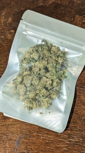 (3.5g) Jack Herer - PC 1/8 - Sativa