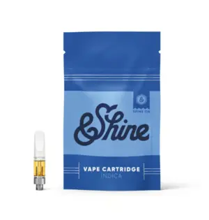 (1.0g) &Shine Disposable Mango (I)