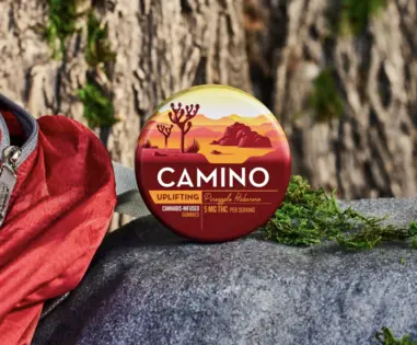 (72.0g) Camino | Pineapple Habanero Gummies 20pack | 100mg