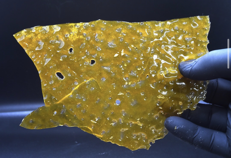 (g) Shatter Sativa