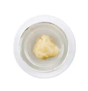 (1.0g) Badder | Revolution | Banana Pudding [Live Rosin]