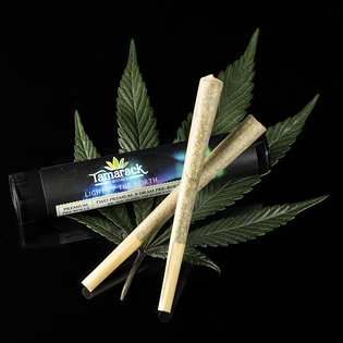 (g) 2pk - Gary Payton - .5g Pre-Rolls