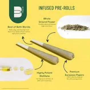 (1.0g) Pre-Roll | The Botanist | Chem Chillz #17