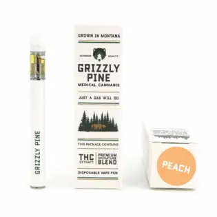 (g) Peach Disposable Vape