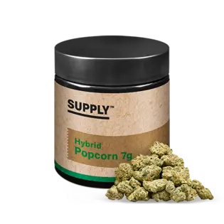 (14.15g) Supply | Apple Gas Popcorn 14.15g | Sativa